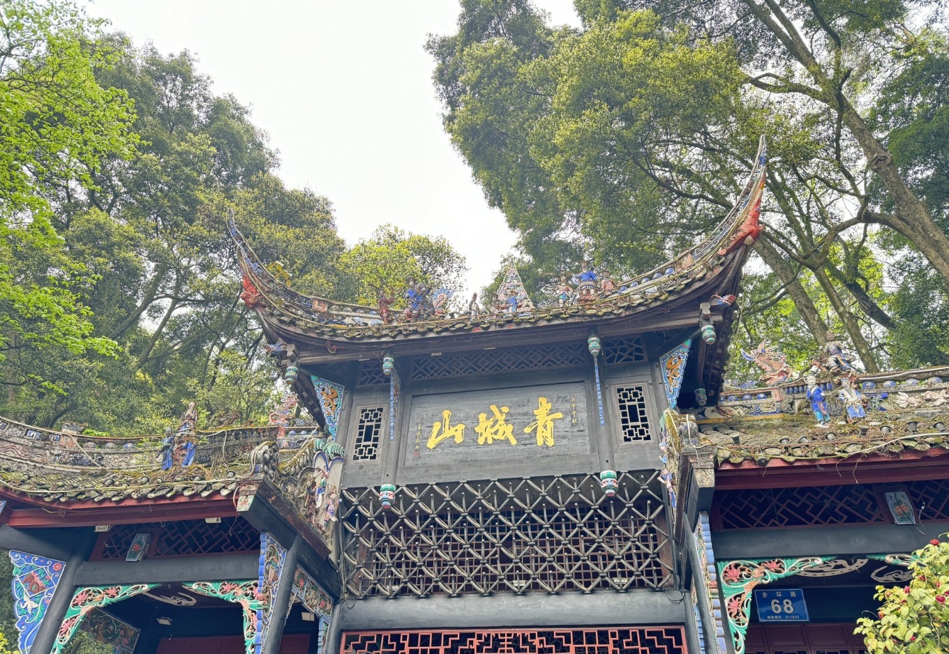 Hiking path on Mount Qingcheng with stone steps and bamboo groves