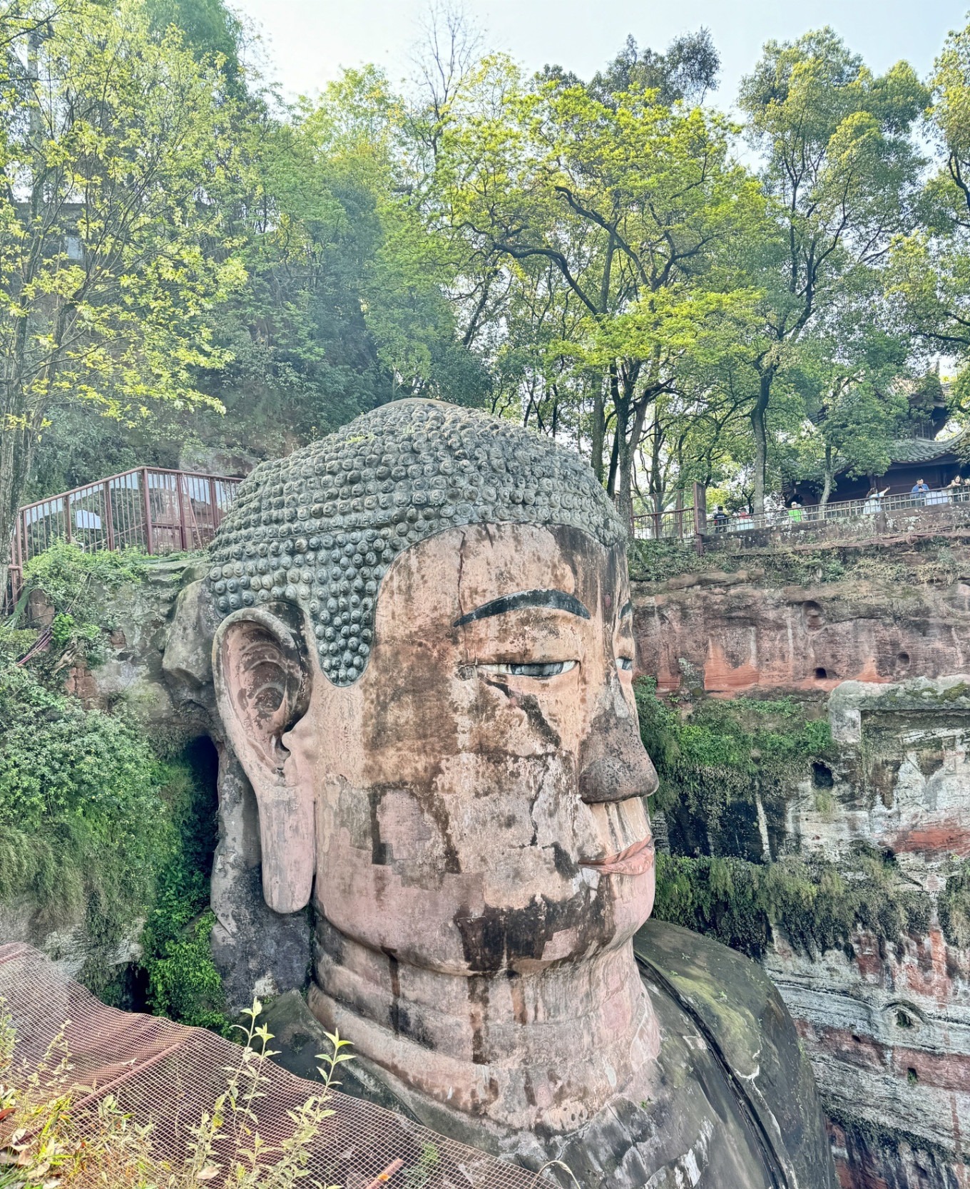 View of the Leshan Giant Buddha from above
