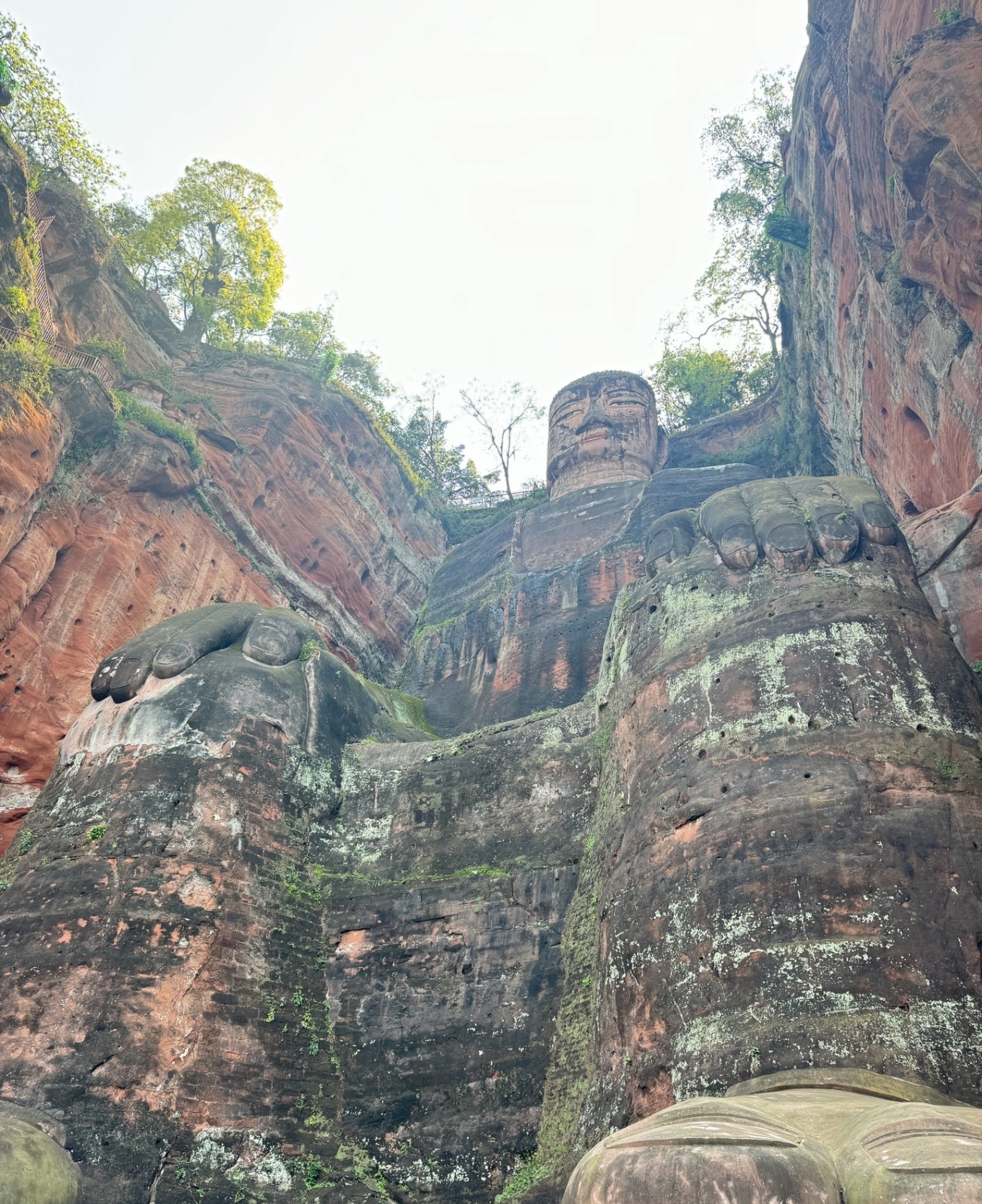 Close-up of the Buddha's head and hair curls