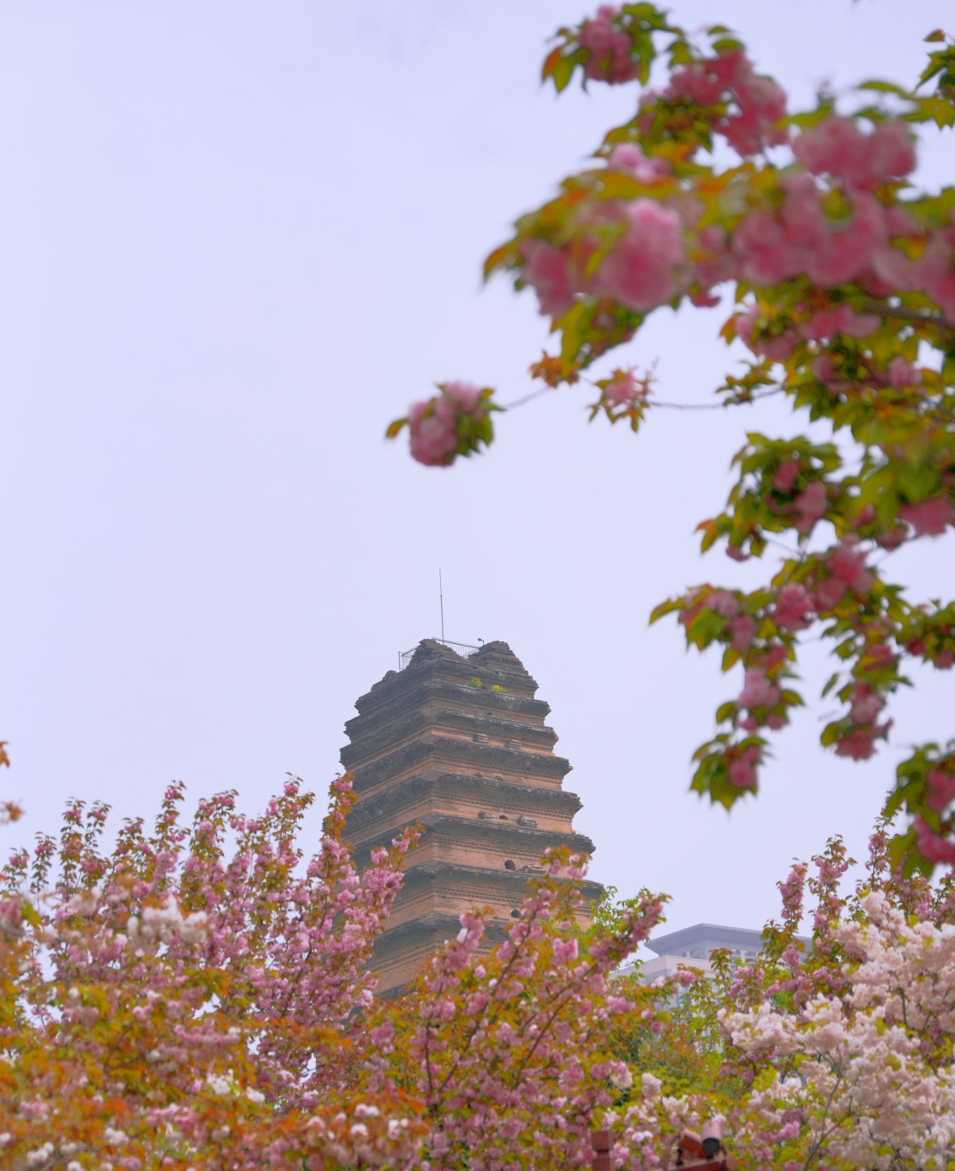 View of the pagoda from the courtyard