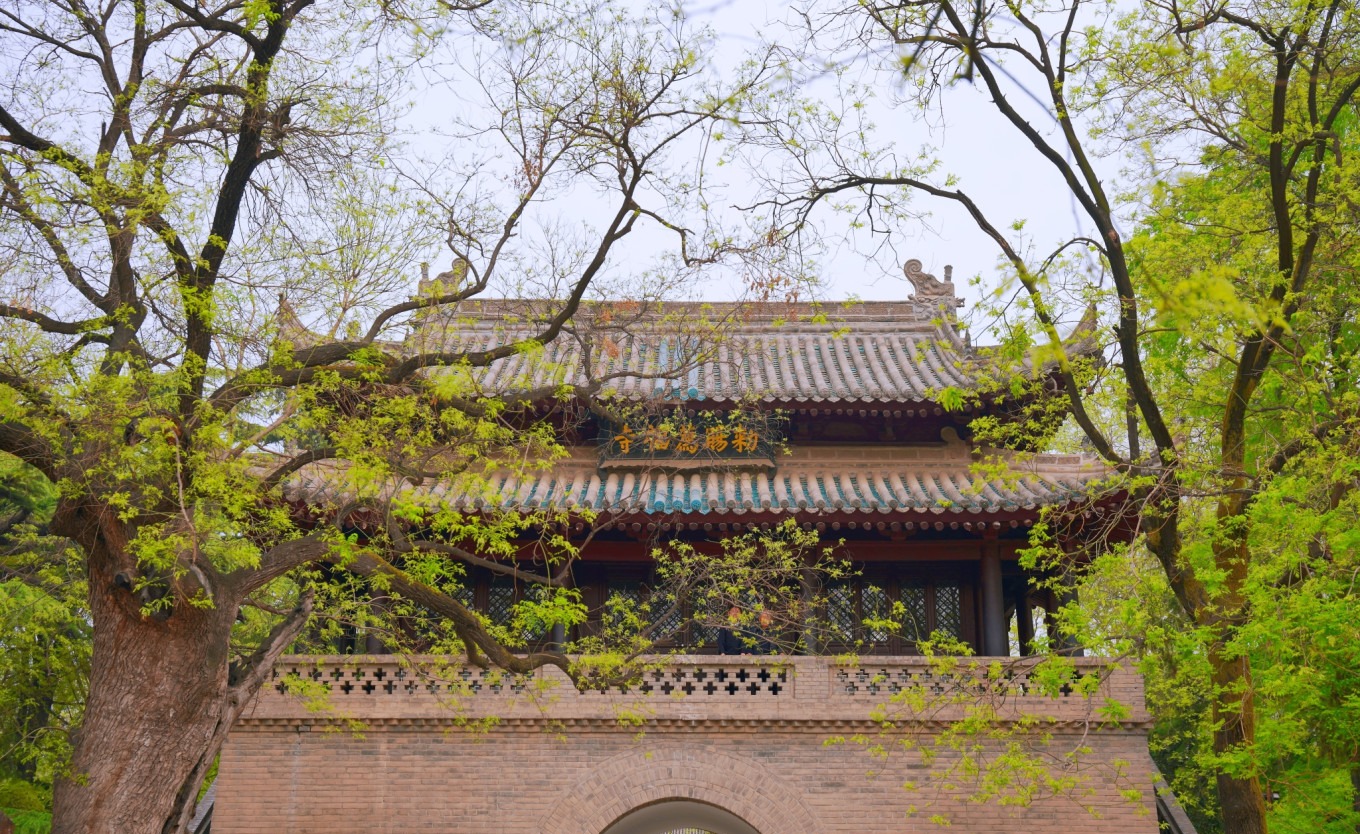 The pagoda surrounded by greenery in the park