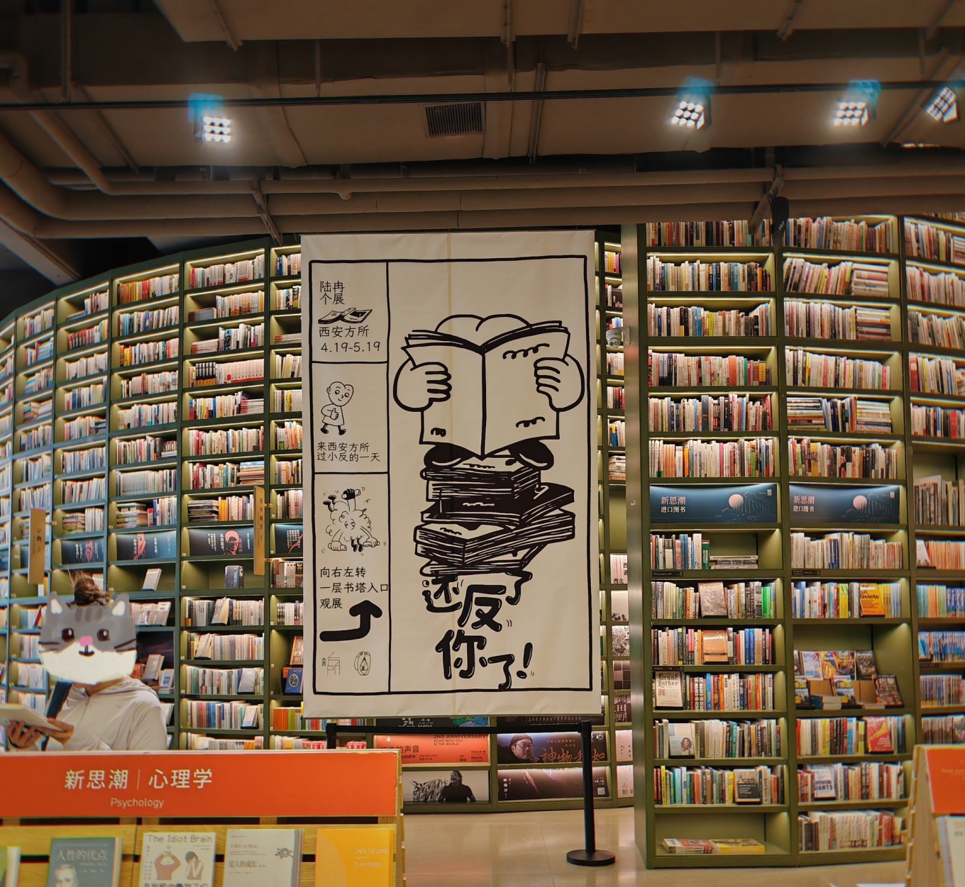 Bookshelves and manga section at Fangsuo