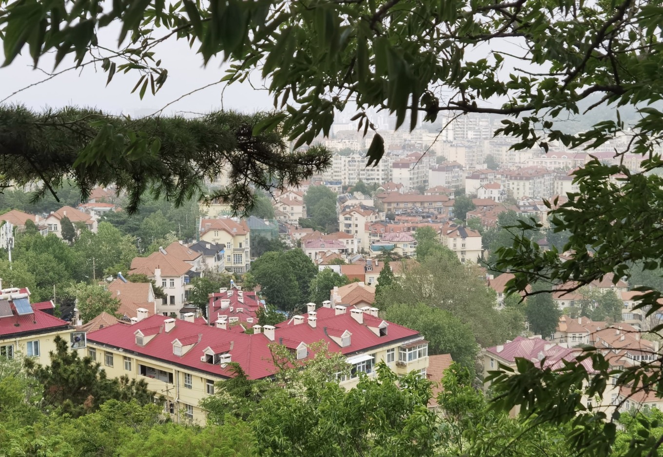 View of Qingdao coastline and buildings from Signal Hill summit