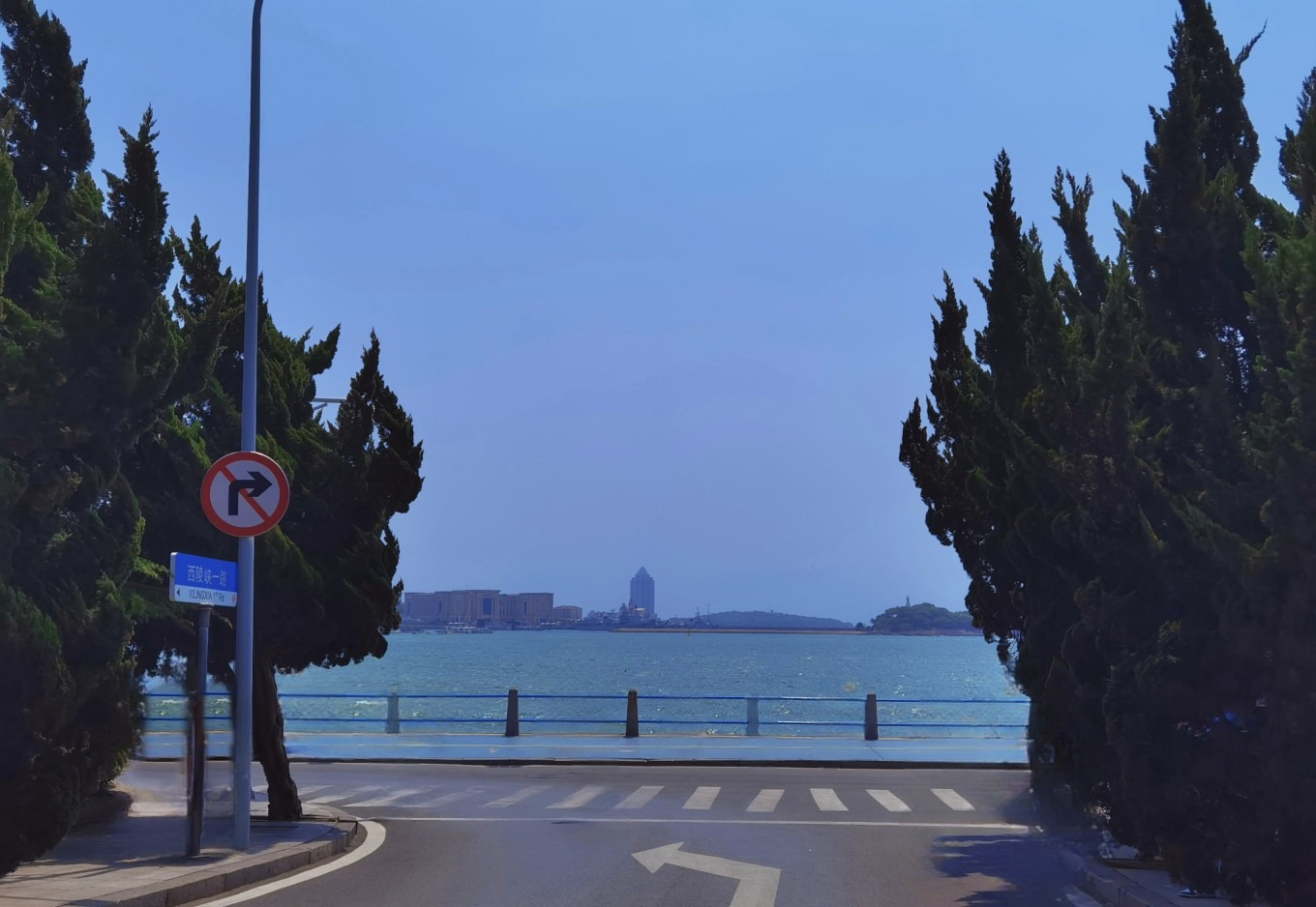 Pine trees lining Xilingxia Three Road like oil paintings