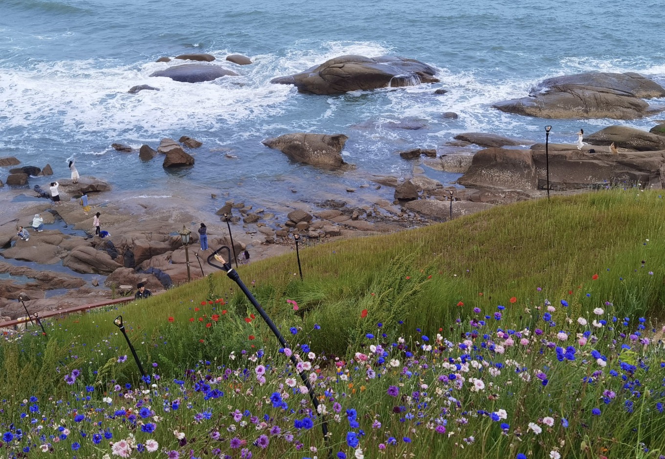 Colorful flowers on the hillside of Yan'er Island with a wooden boardwalk and sea in the background