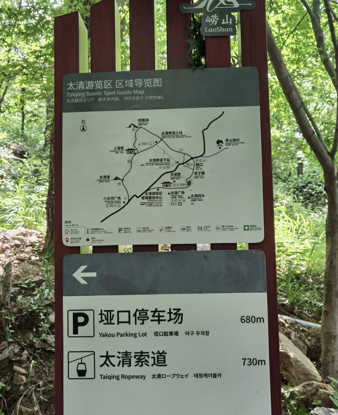 Forest path along Laozi Path with dense trees