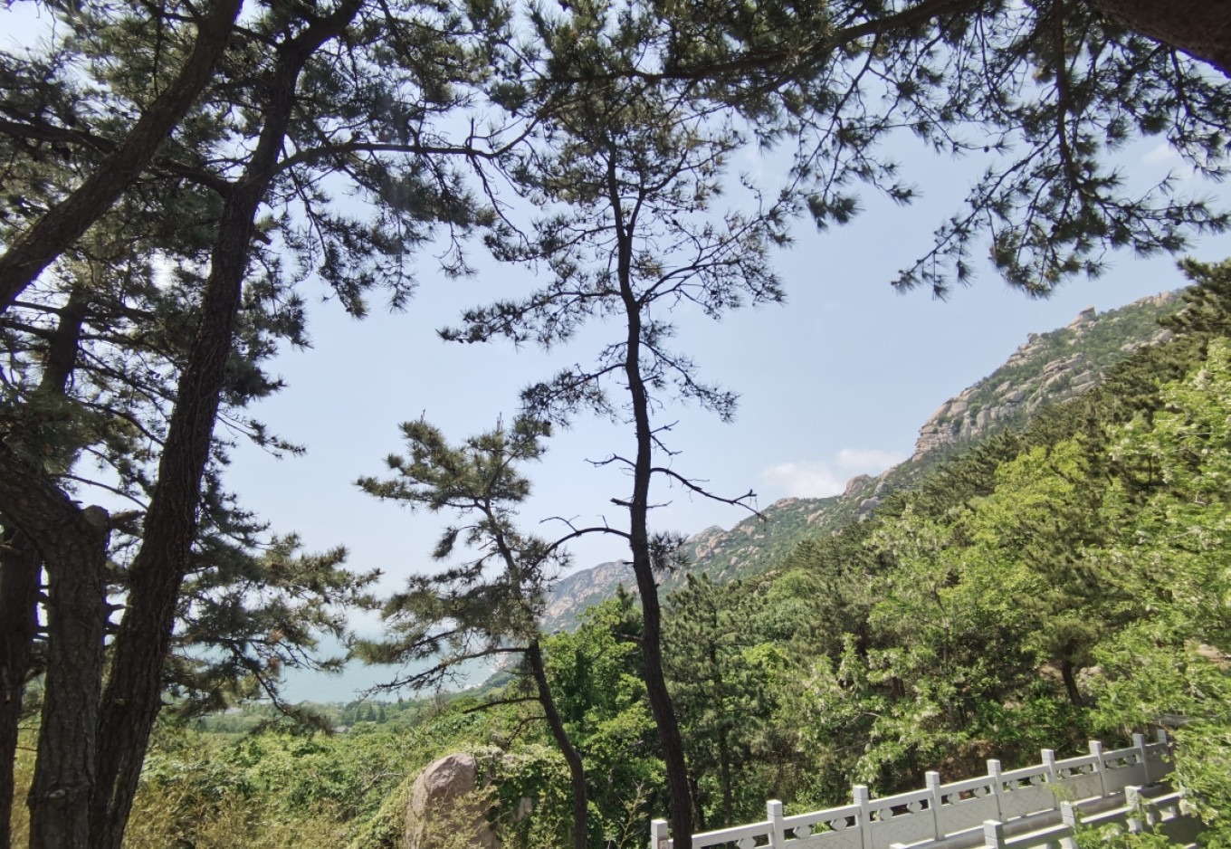 Panoramic view of the sea from the mountain trail