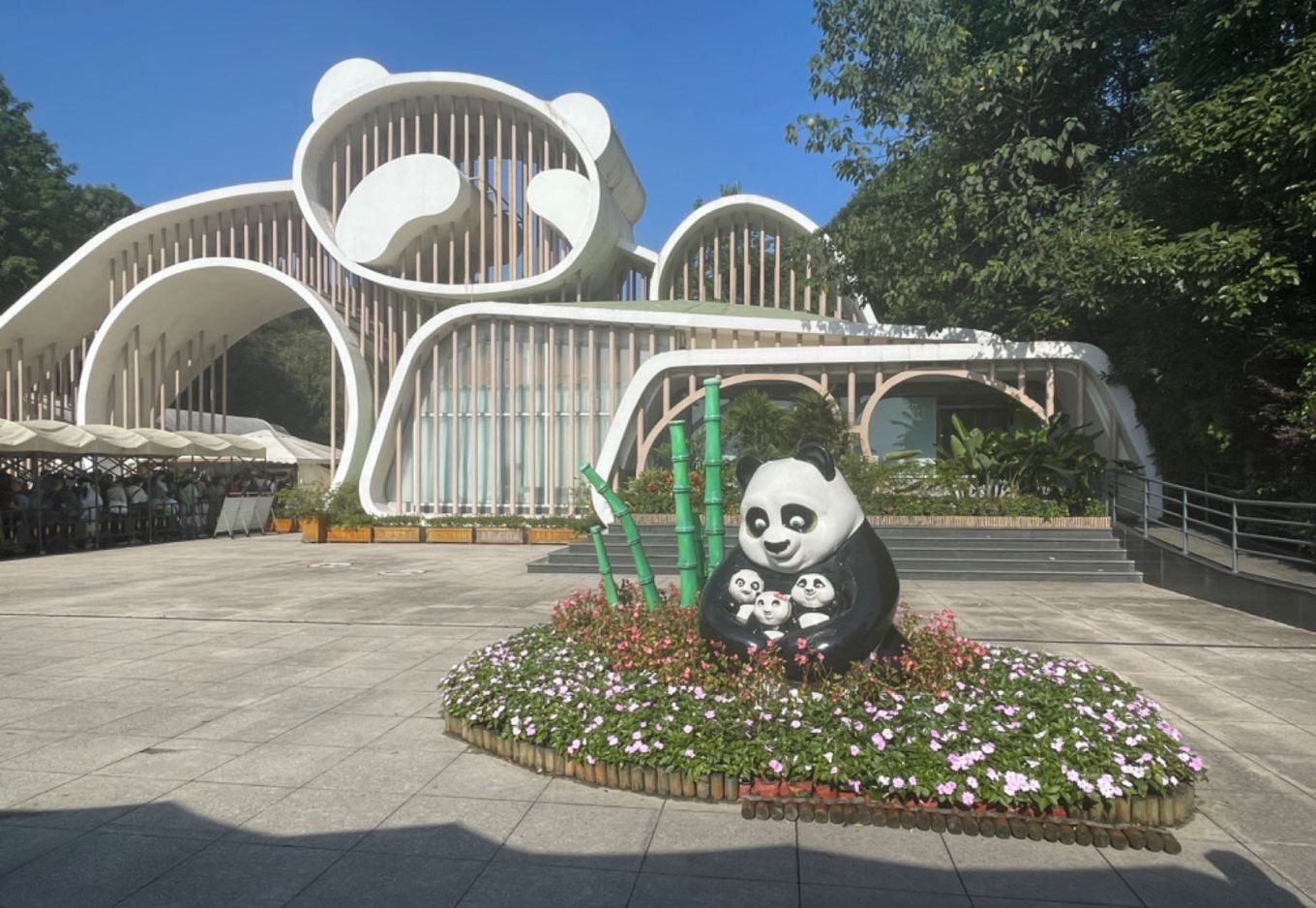 Giant panda sitting and eating bamboo at Panda Valley