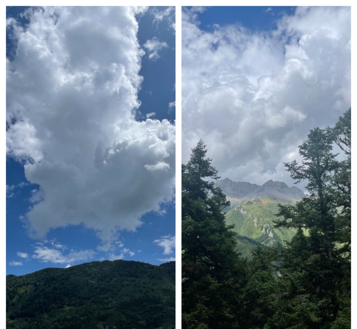 Scenery along the road from Zhenjiangguan to Huanglong resembling a Studio Ghibli film