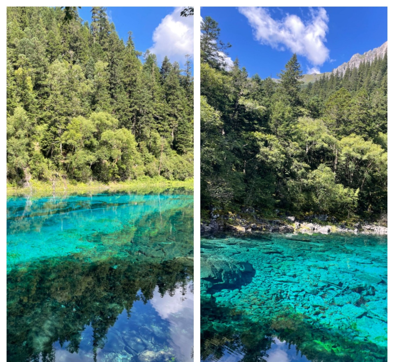 Boardwalk leading through forest in Jiuzhaigou