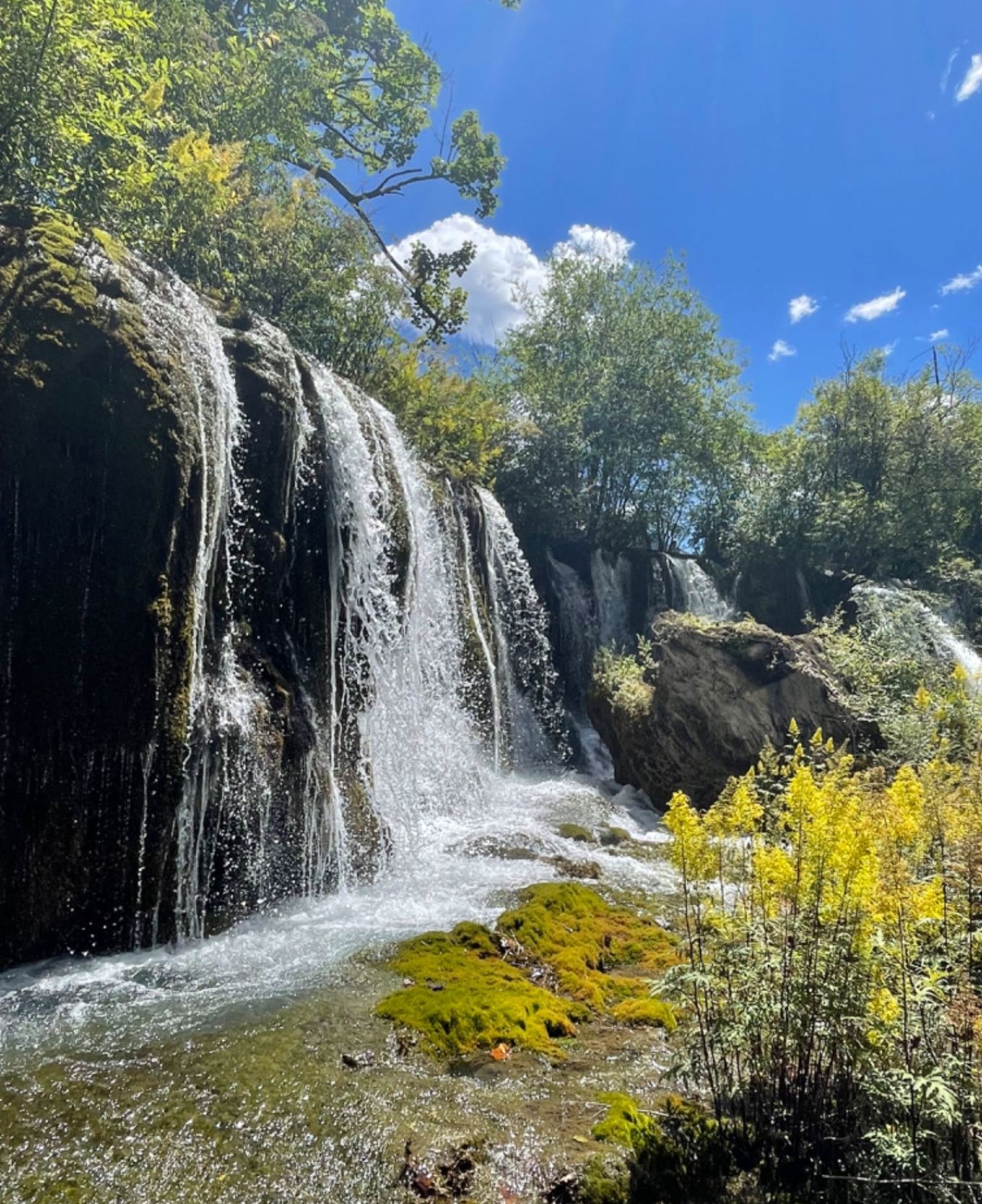 Waterfall surrounded by green vegetation