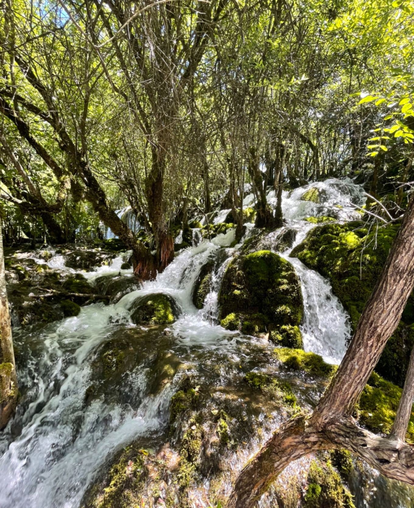 Another view of the waterfall with mist