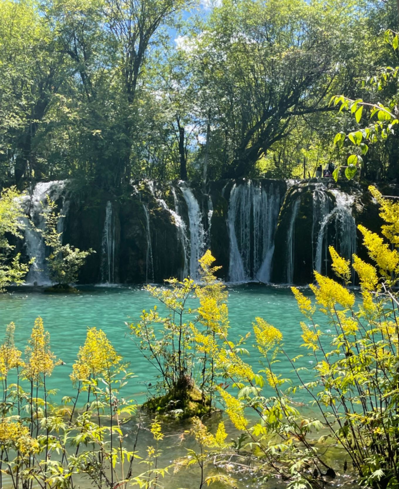 Waterfall from a different perspective