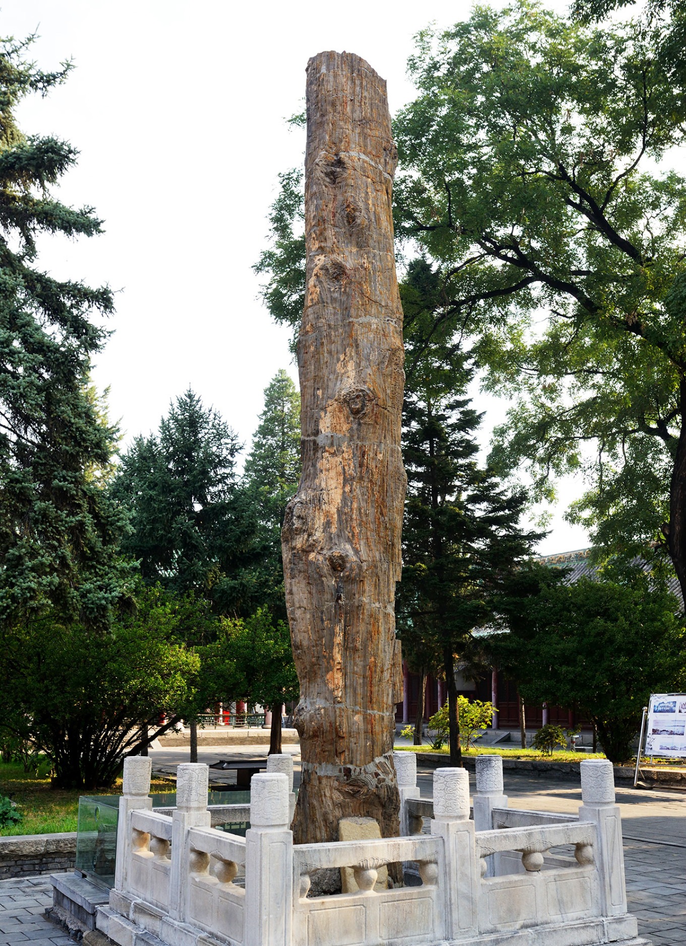 Petrified wood in the second courtyard of Lu'an Prefecture City God Temple