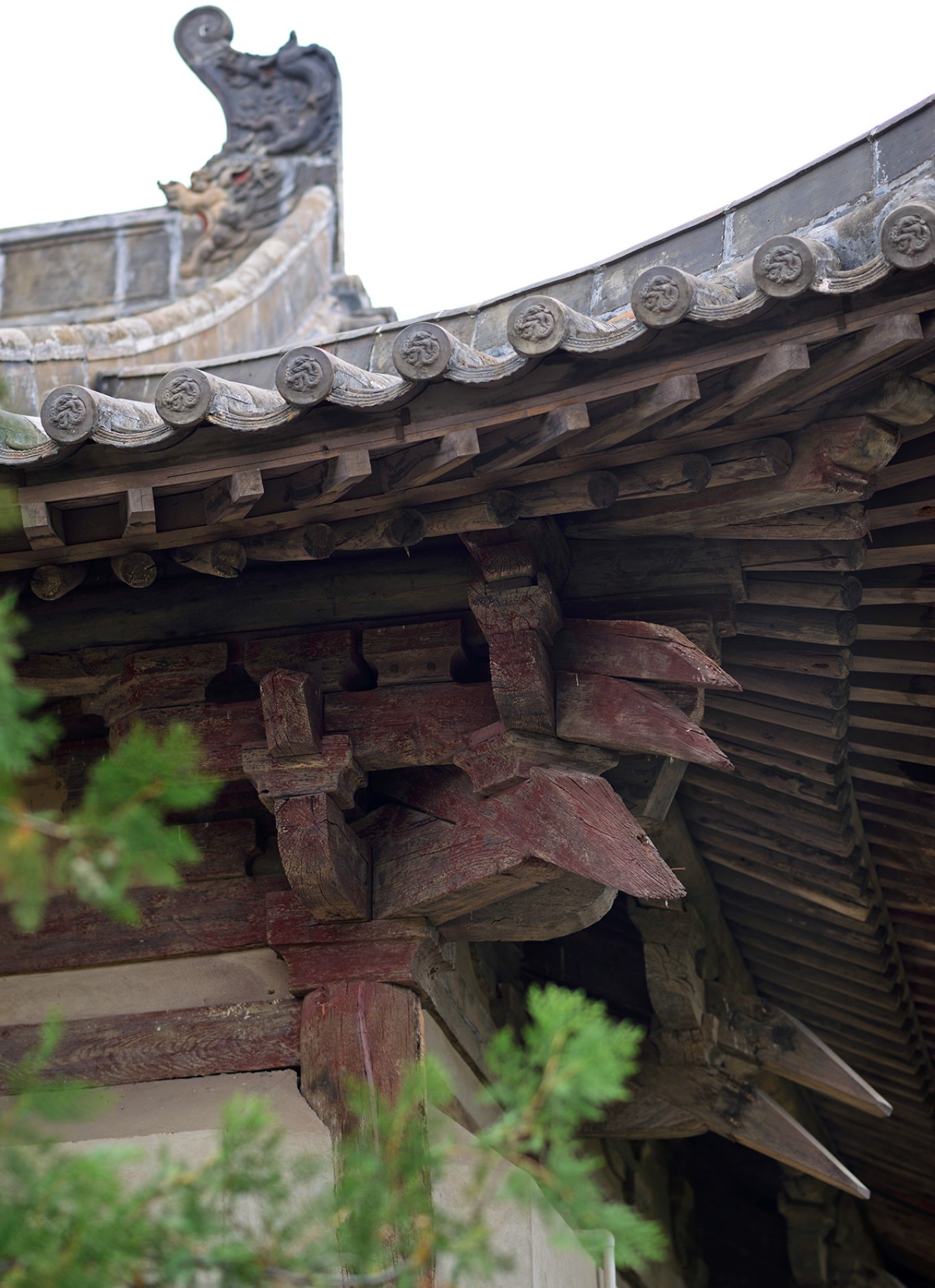Roof frame and purlins inside the main hall