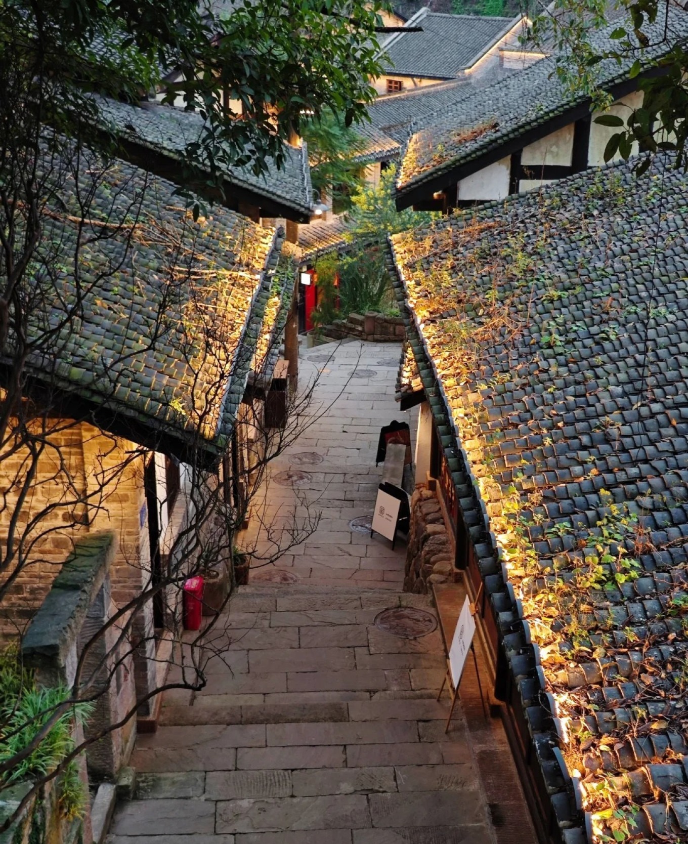 Night view of Yuzhong Peninsula from Xiahao Old Street with city lights