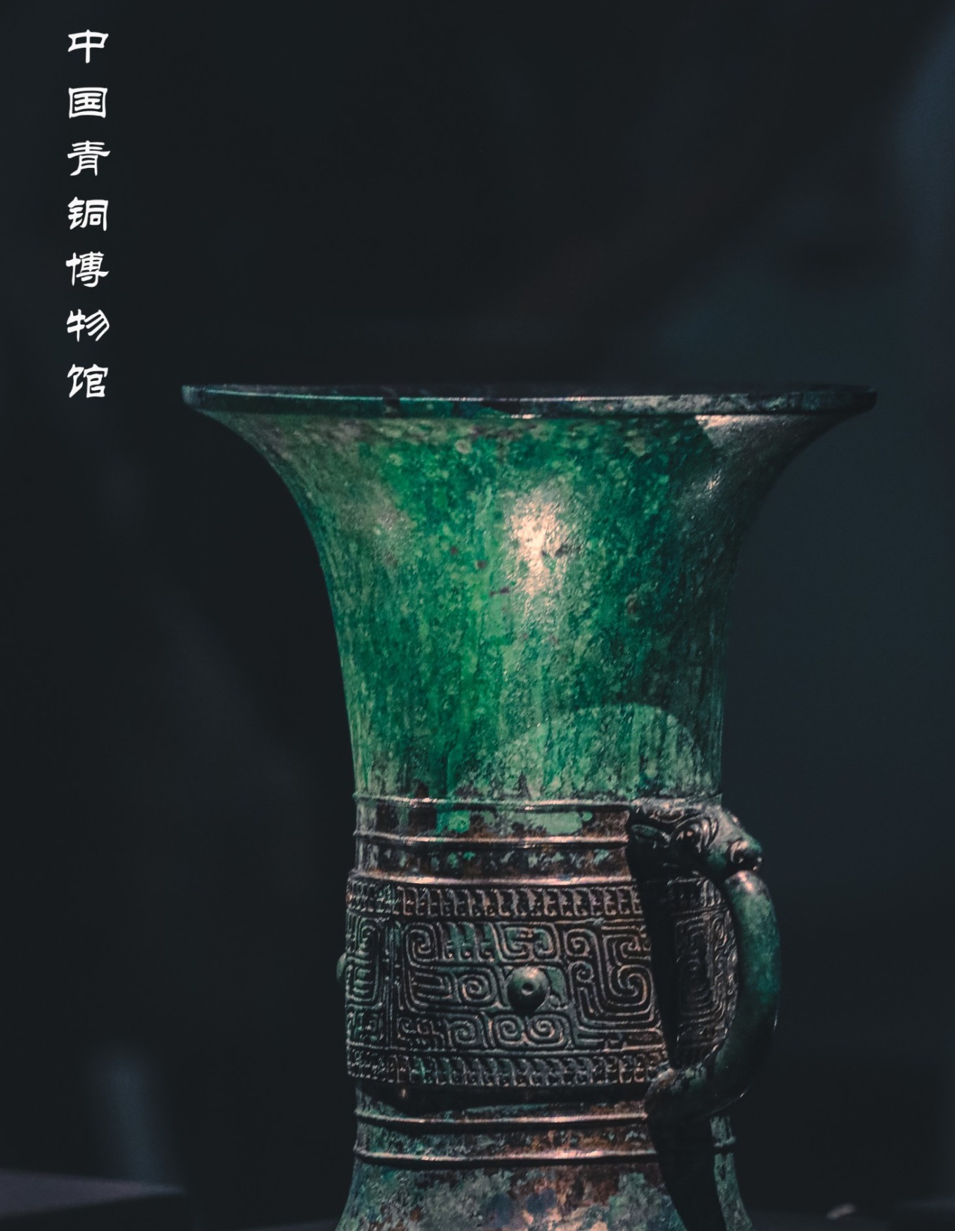 Western Zhou phoenix-pattern bronze zun