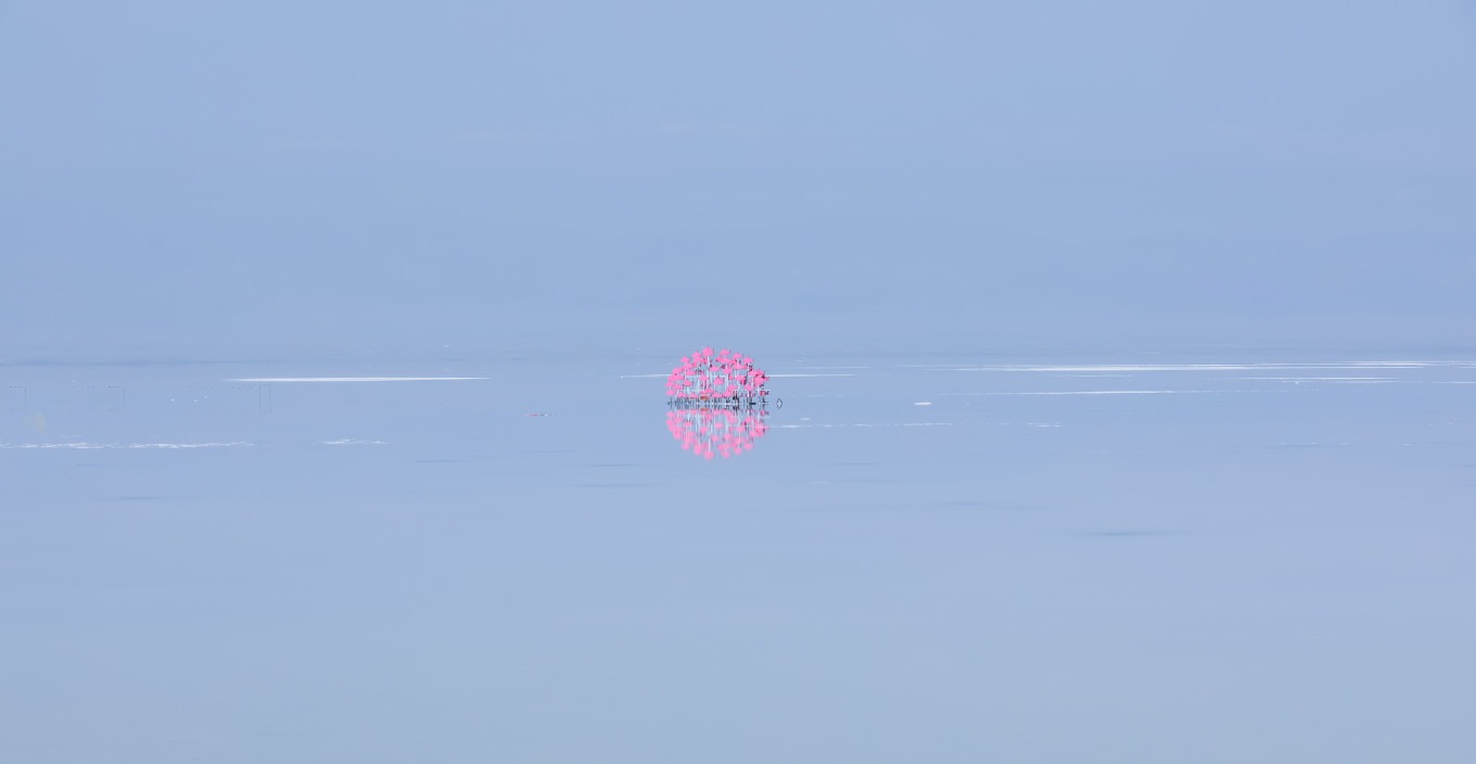 Wide view of the salt lake with reflections