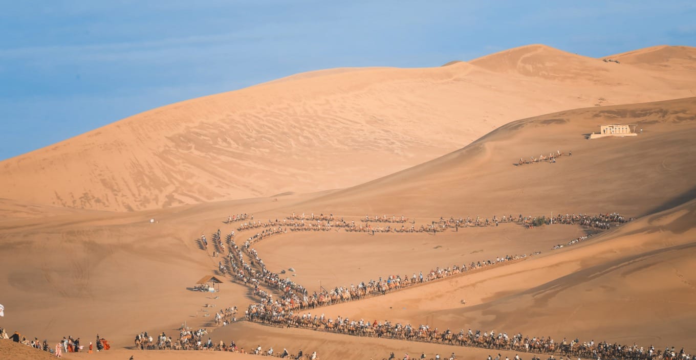 Camel caravan crossing a desert road with traffic lights at Mingsha Mountain