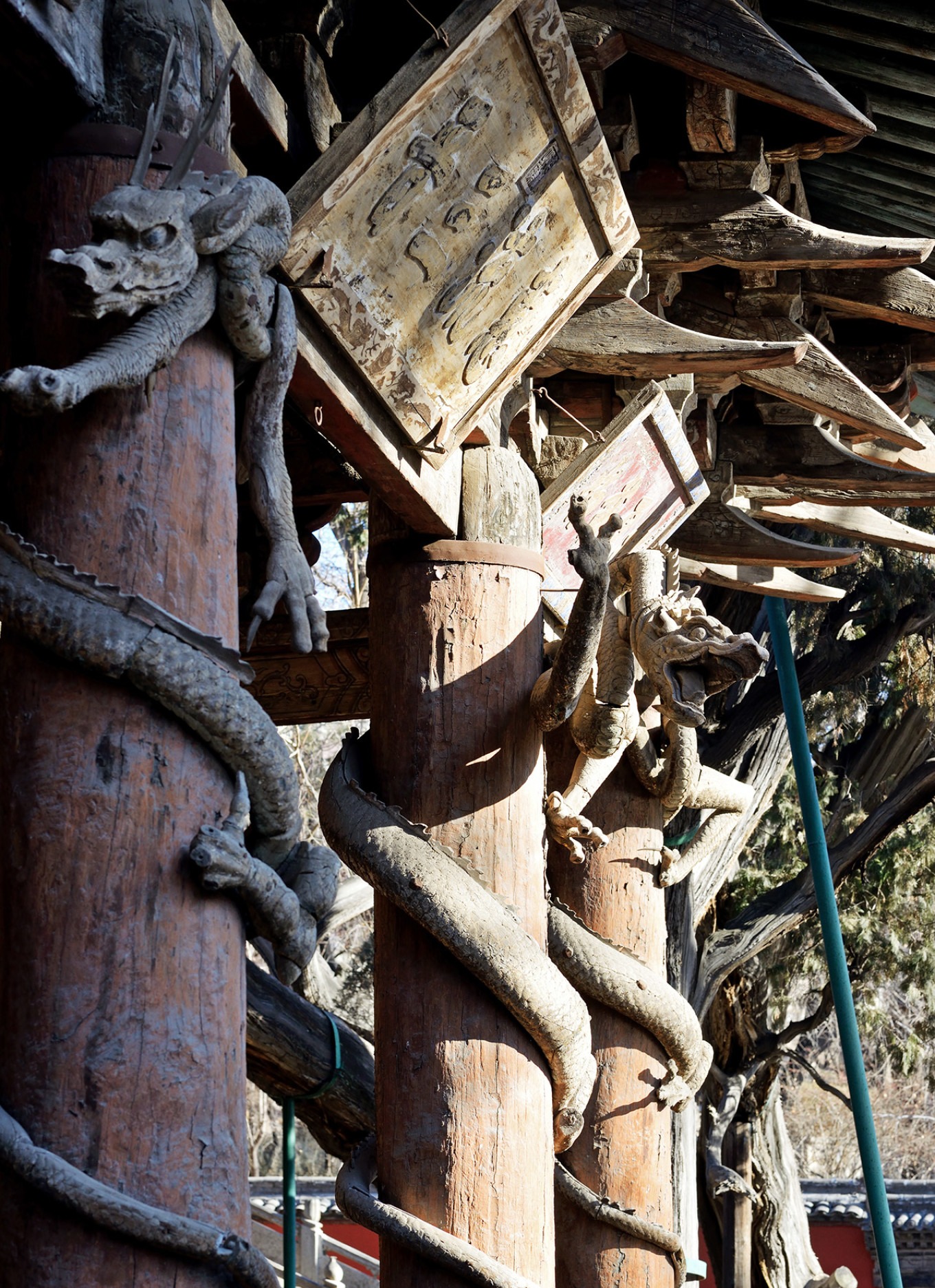 Close-up of coiled dragon head with details